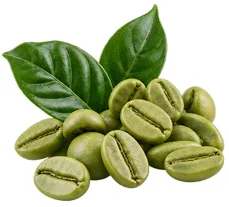 Green coffee extract — Liporeduct ingredient